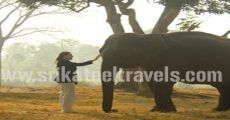 Car Rent in Mangalore